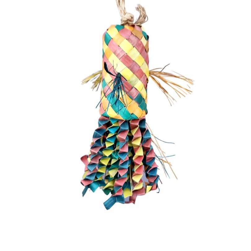 Pinata Rasta