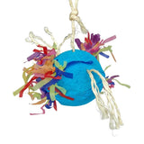 Pinata Parrot Egg