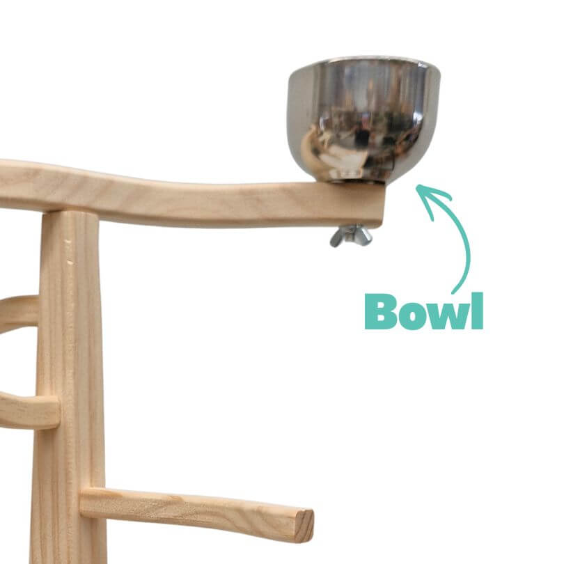 Play and Snack Parrot Gym