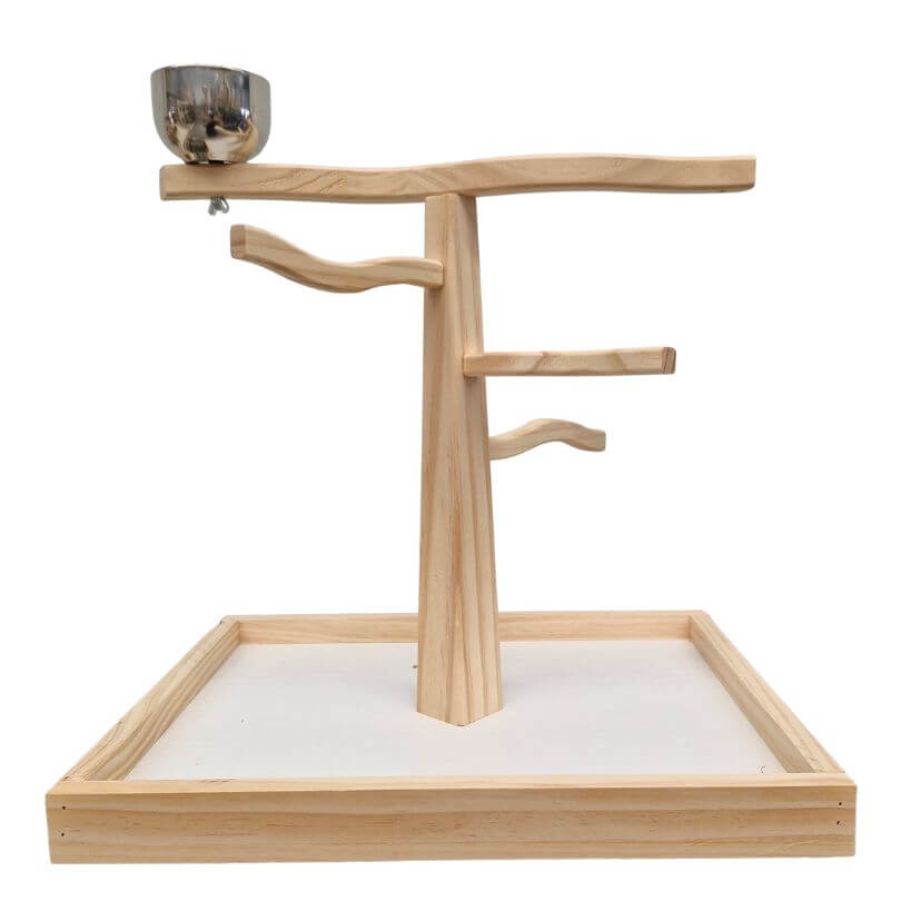 Play and Snack Parrot Gym