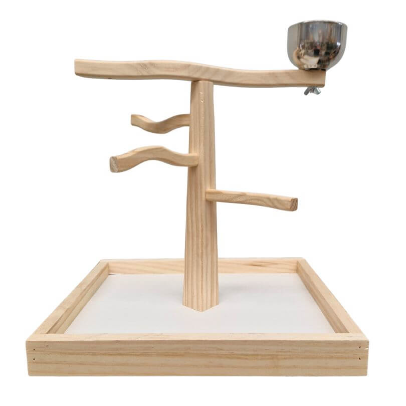 Play and Snack Parrot Gym