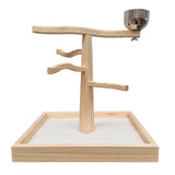 Play and Snack Parrot Gym