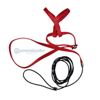 Thumbnail for Prestige Bird Harness and Leash - Red