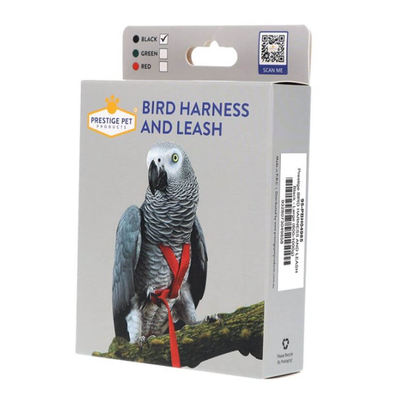 Prestige Bird Harness and Leash - Black