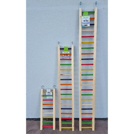Giant Rainbow Ladders