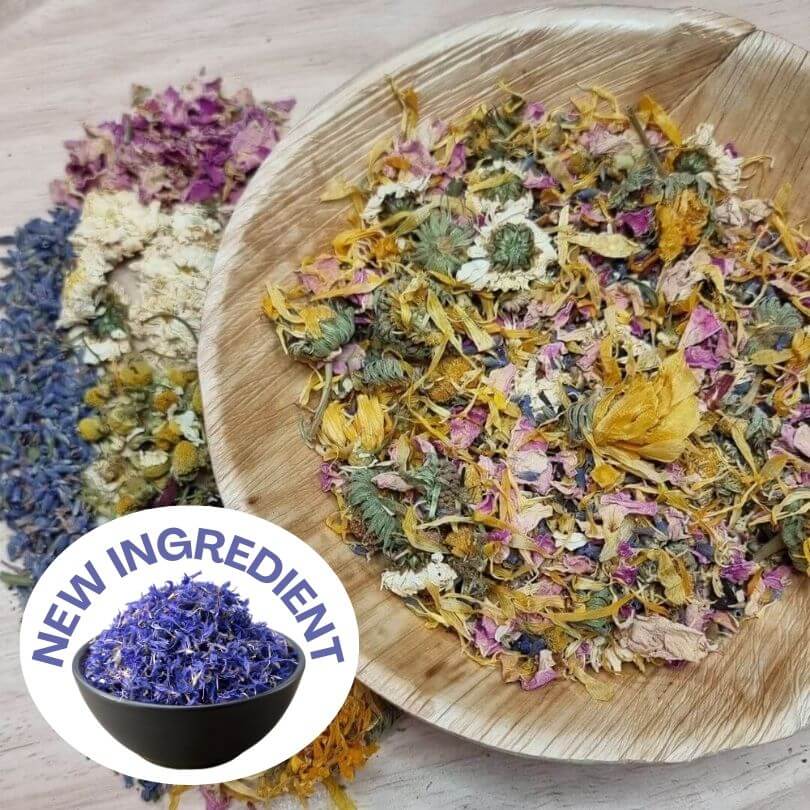 Raw for Birds Floral Foraging Blend 20g