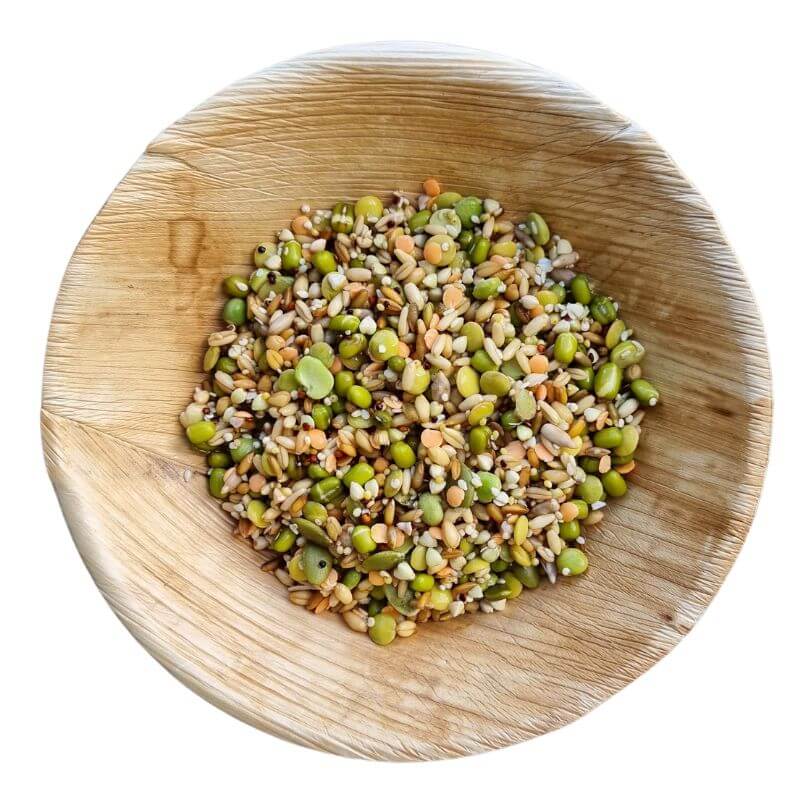 Raw for Birds Petite Soaking Blend
