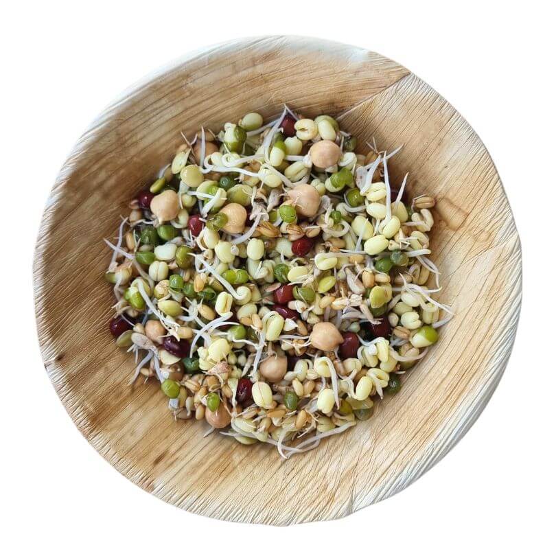 Raw for Birds Sprouting Blend