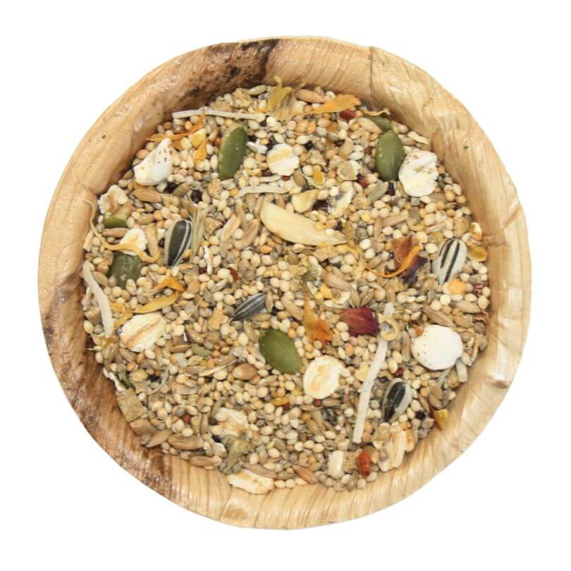 Raw for Birds Aussie Medium Parrot Seed Blend