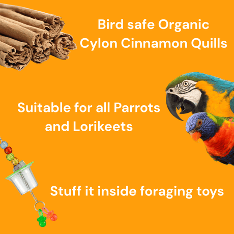 Raw for Birds Cinnamon Quills