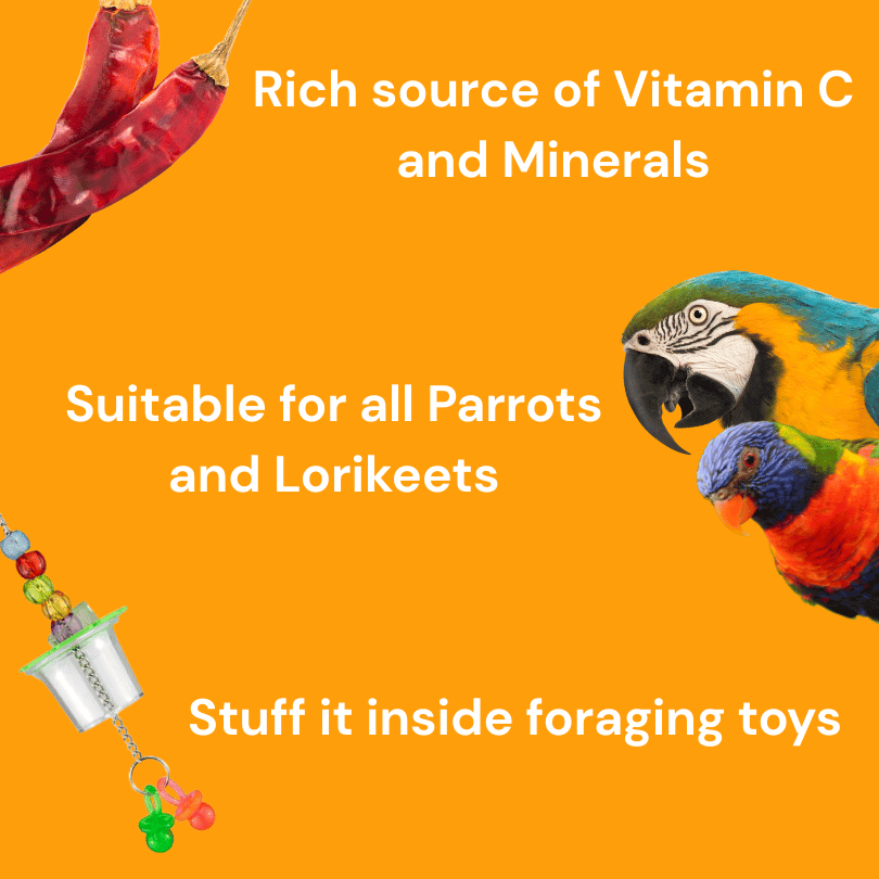 Raw for Birds Dried Chillies