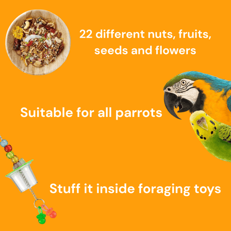 Raw for Birds Fruit and Nut Treat