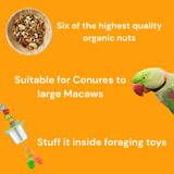 Raw for Birds Royal Nut Treat