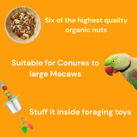 Raw for Birds Royal Nut Treat