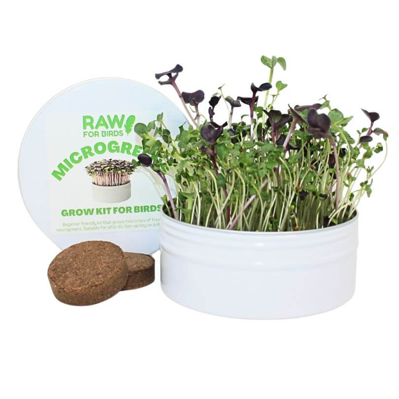 Raw for Birds - Bird Microgreens Grow Kit