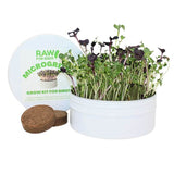 Raw for Birds - Bird Microgreens Grow Kit