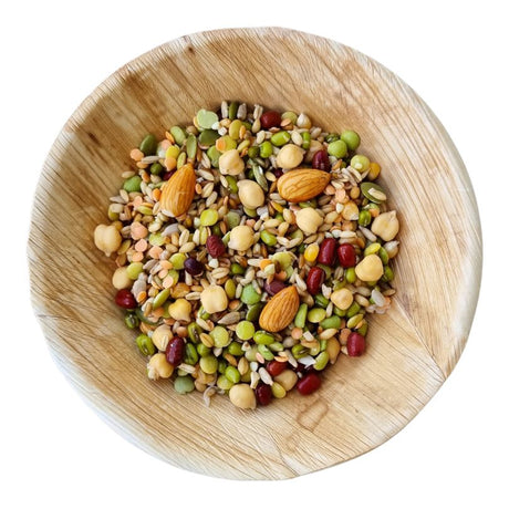 Raw for Birds Chunky Soaking Blend