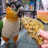 Raw for Birds Eucalyptus Flower Foot Toys 3pk