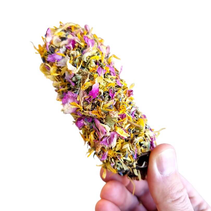 Raw for Birds Floral Banksia Chews 2pk