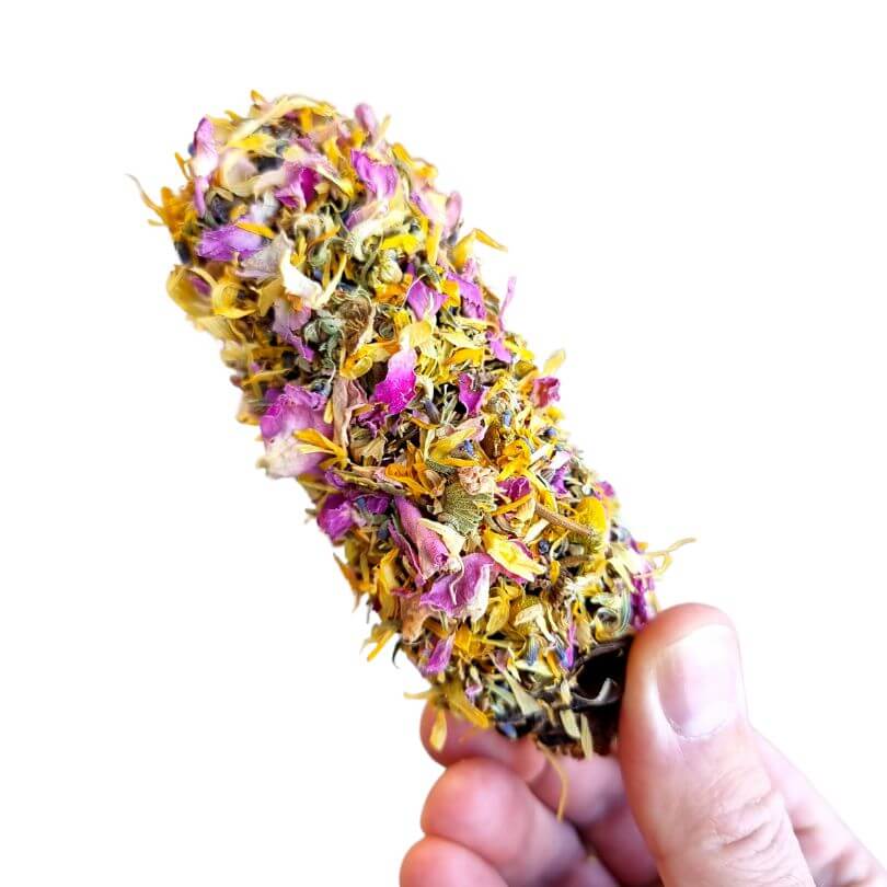 Raw for Birds Floral Banksia Chews 2pk