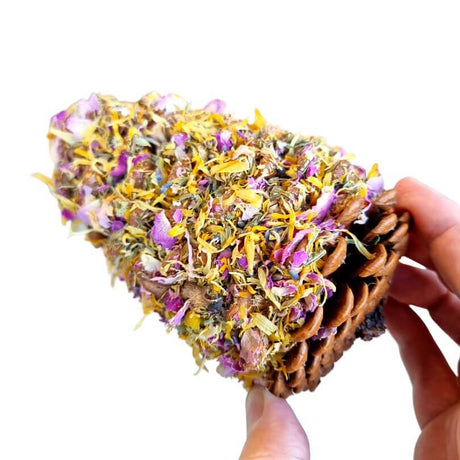 Raw for Birds Floral Pinecone Chews 2pk