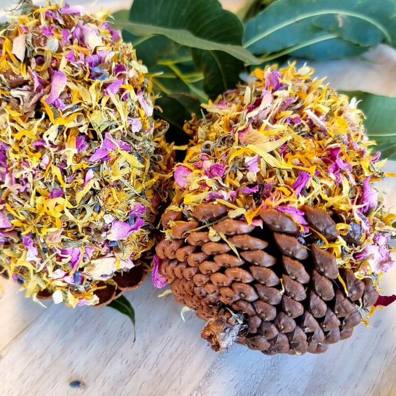 Raw for Birds Floral Pinecone Chews 2pk
