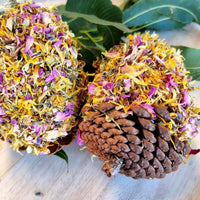 Thumbnail for Raw for Birds Floral Pinecone Chews 2pk
