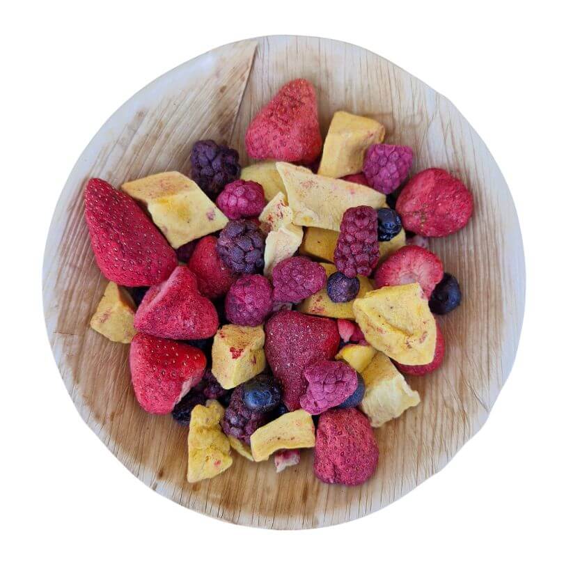 Raw for Birds Freeze Dried Summer Fruits
