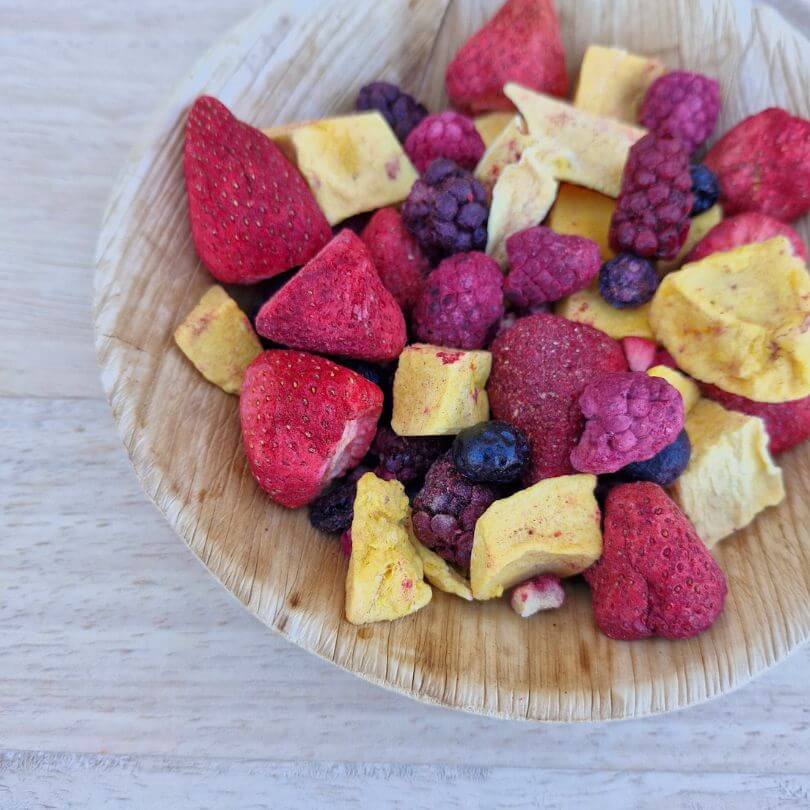Raw for Birds Freeze Dried Summer Fruits