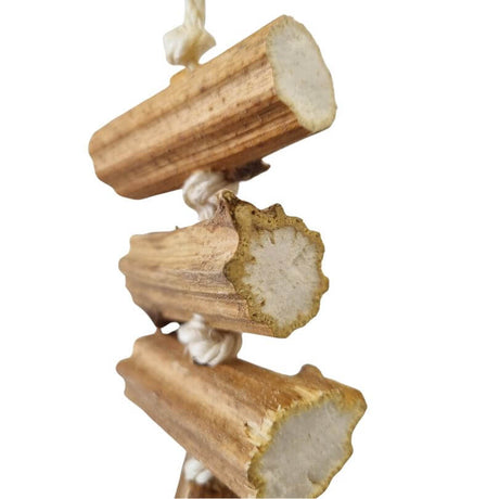 Hanging Sunflower Chew