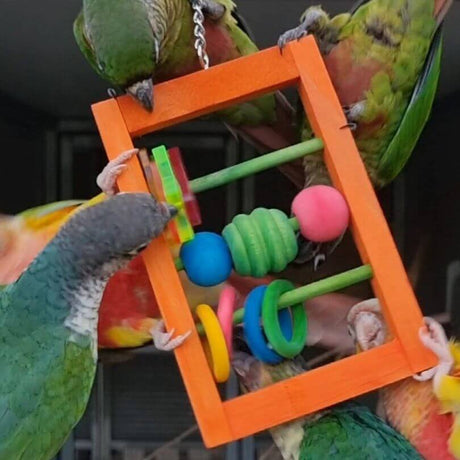 Small Bird Activity Hanger