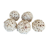 Beak Joy Sola Chew Balls 8pk