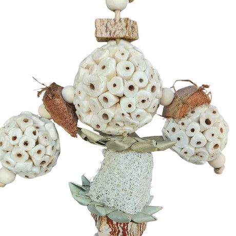 Sola Coconut Crunch
