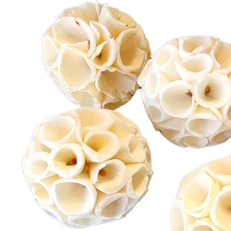 Sola Coral Chews 5pk