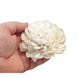 Sola Flowers 5pk