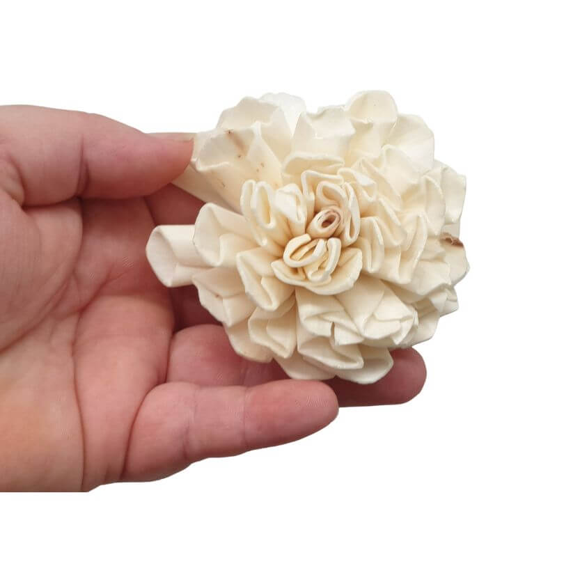 Sola Flowers 5pk