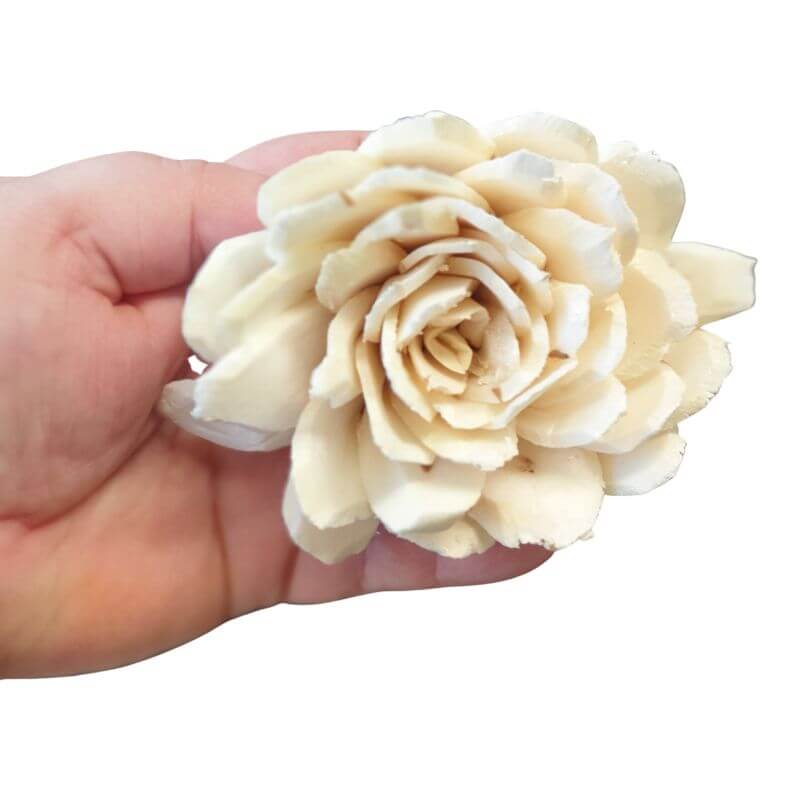 Sola Flowers 5pk