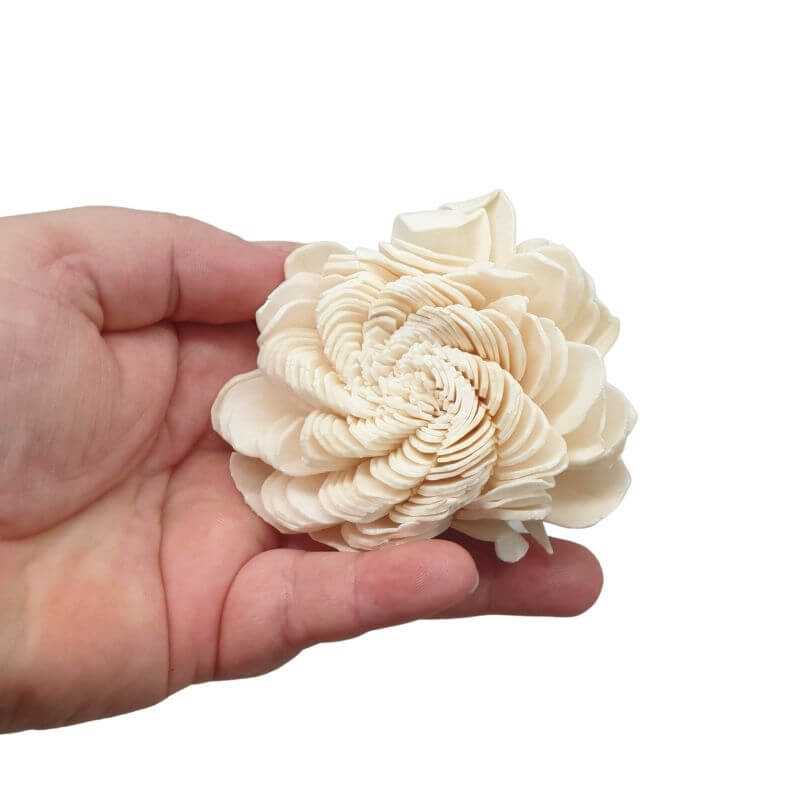 Sola Flowers 5pk