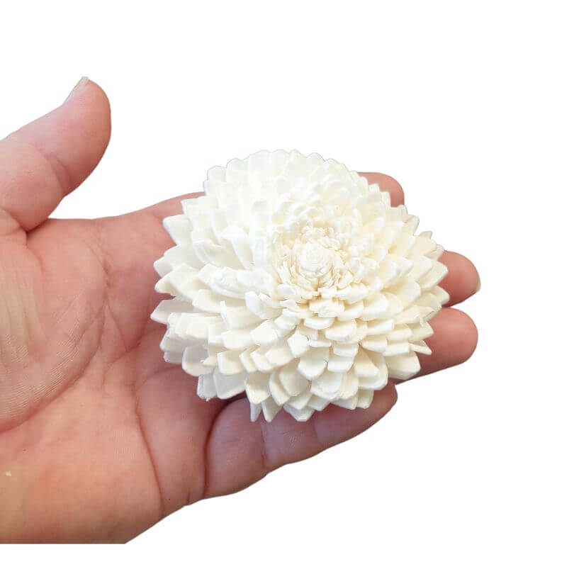 Sola Flowers 5pk