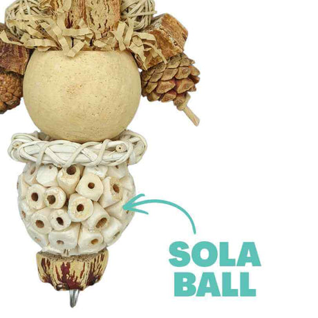 Sola Forest Star Forager