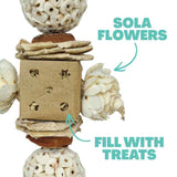Sola Peck and Bloom Forager