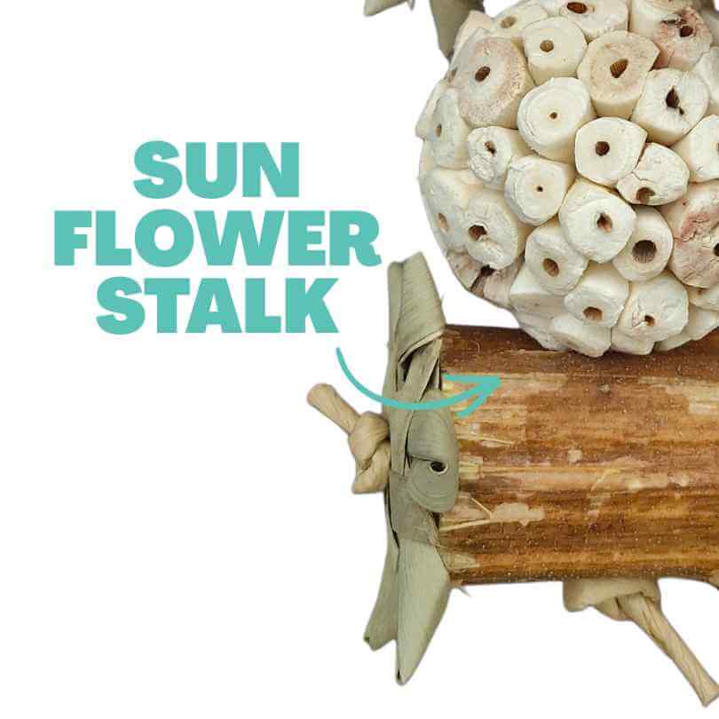 Sola Sunflower Crunch