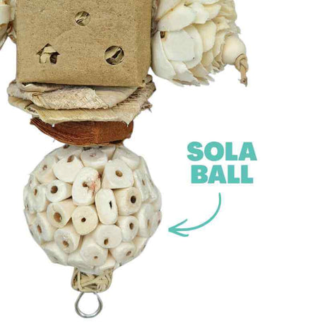 Sola Peck and Bloom Forager