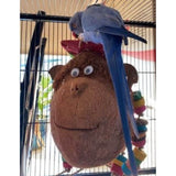 Mr and Miss Monkey