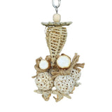 Sunflower and Sola Cluster Chew