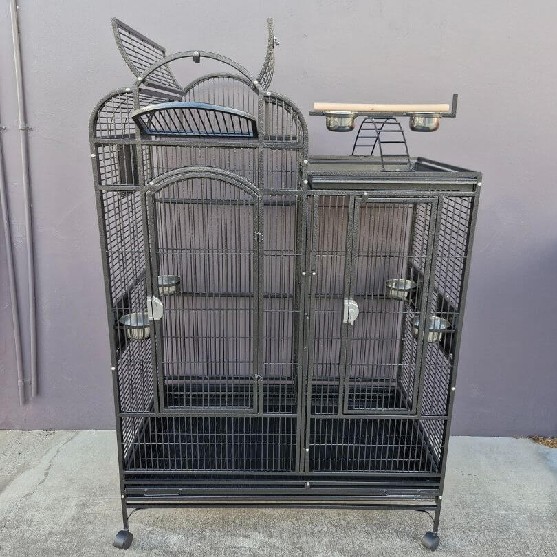 Low-Maintenance Parrot Aviaries With Sturdy Frames photo