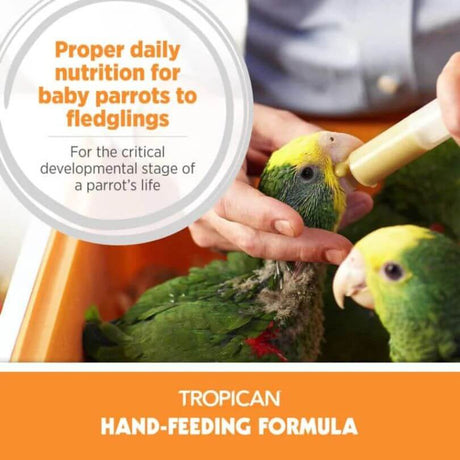Tropican Hand Feeding Formula