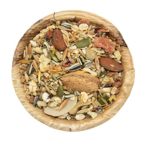 Raw for Birds African Parrot Seed Blend