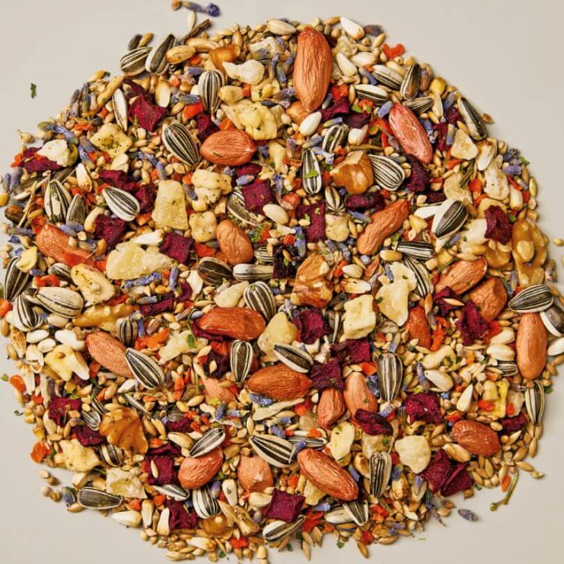 Whistler Gourmet Small Parrot Seed Blend 1.2kg