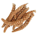Whistler Red Millet Sprays